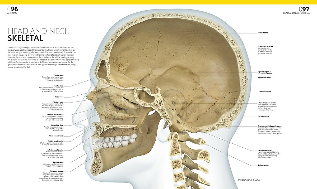 The Complete Human Body