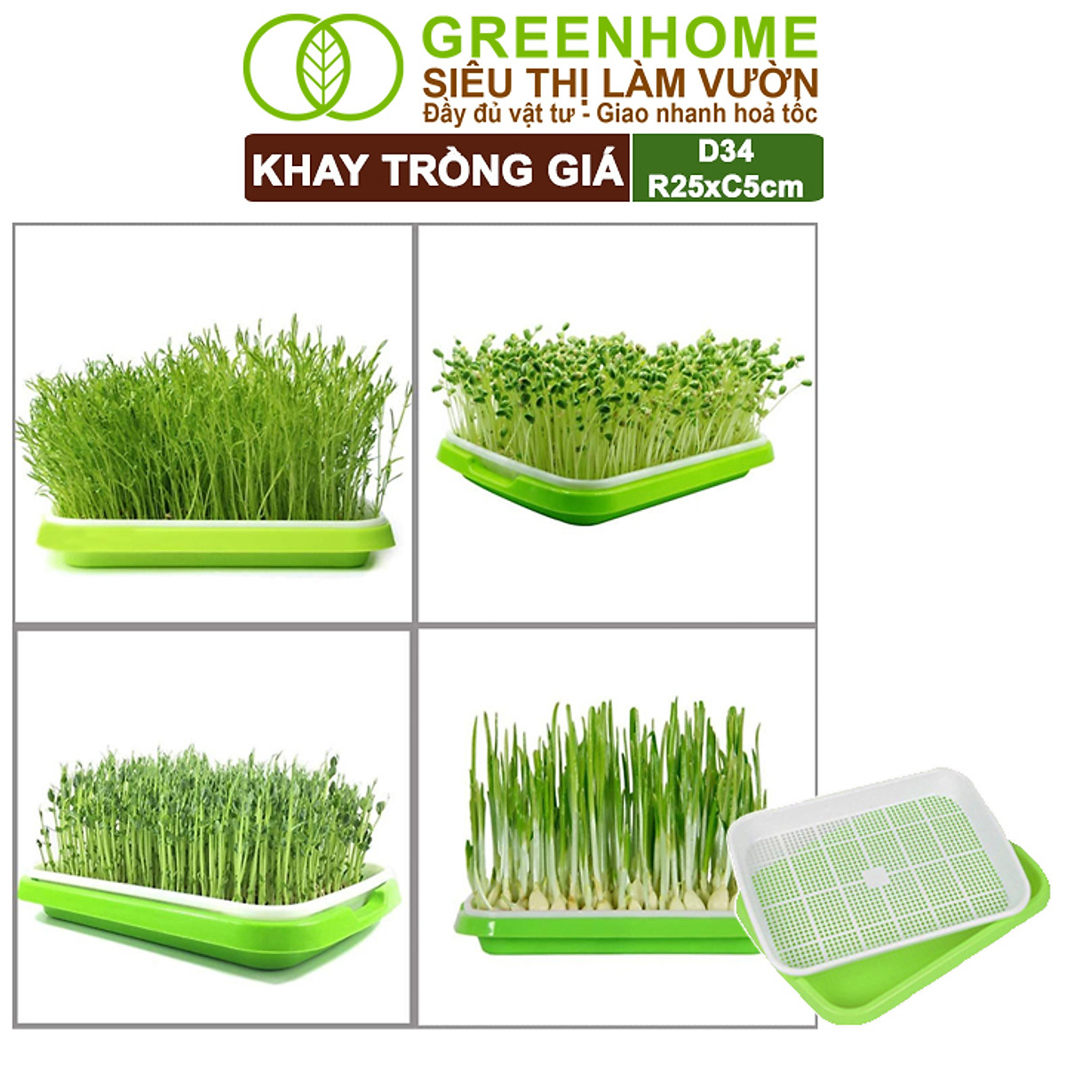 Khay Trồng Rau Greenhome, D34xR25xC5cm, Nhựa Nguyên Sinh, An Toàn, Chuyên Trồng Giá, Rau Mầm Tại Nhà, Không Cần Đất