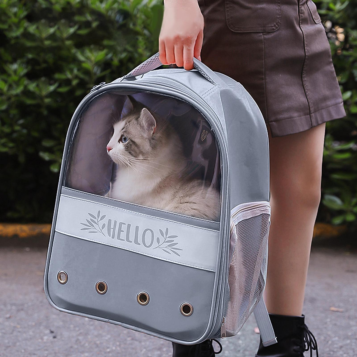 PawHut 48.5cm Pet Carrier, Cat Carrier Cat Bag, Pet Travel Bag w/ Cushion,  Carry Bag, for Miniature Dogs - Purple | DIY at B&Q