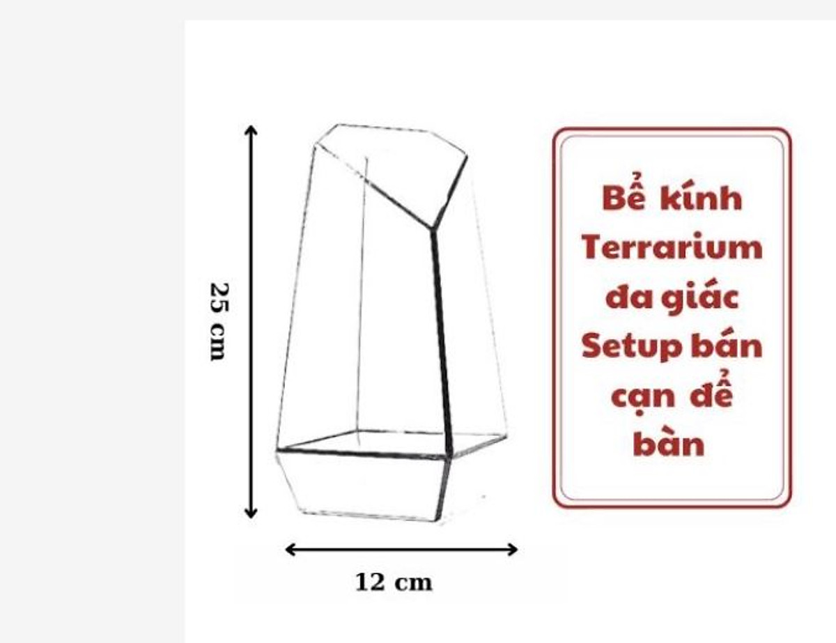 Bể kính đa giác, bể kính terrarium, bình đa giác kính, bể đa giác ...