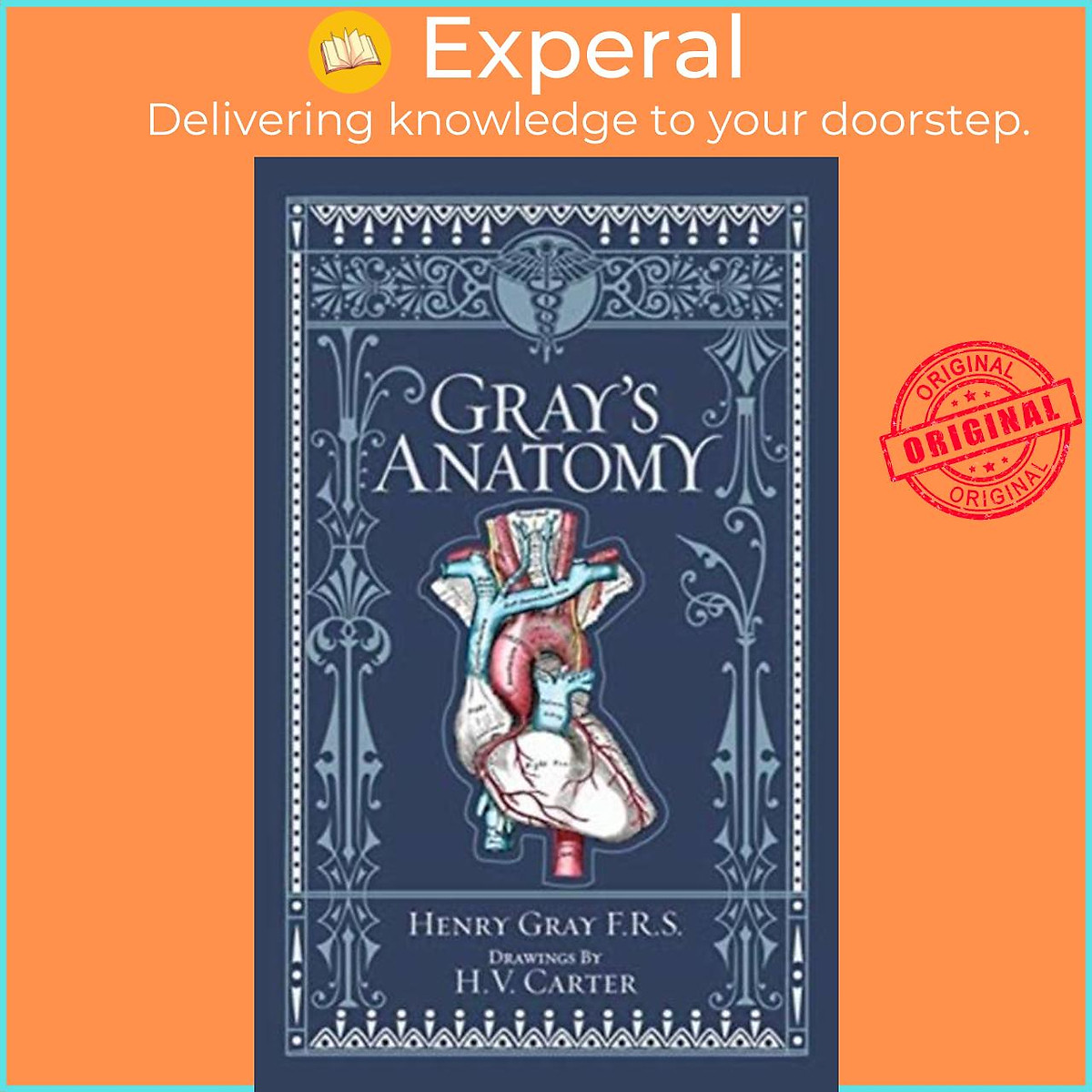Sách - Gray's Anatomy (Barnes & Noble Collectible Editions) by H.V., M.D. Carter (UK edition, hardcover)