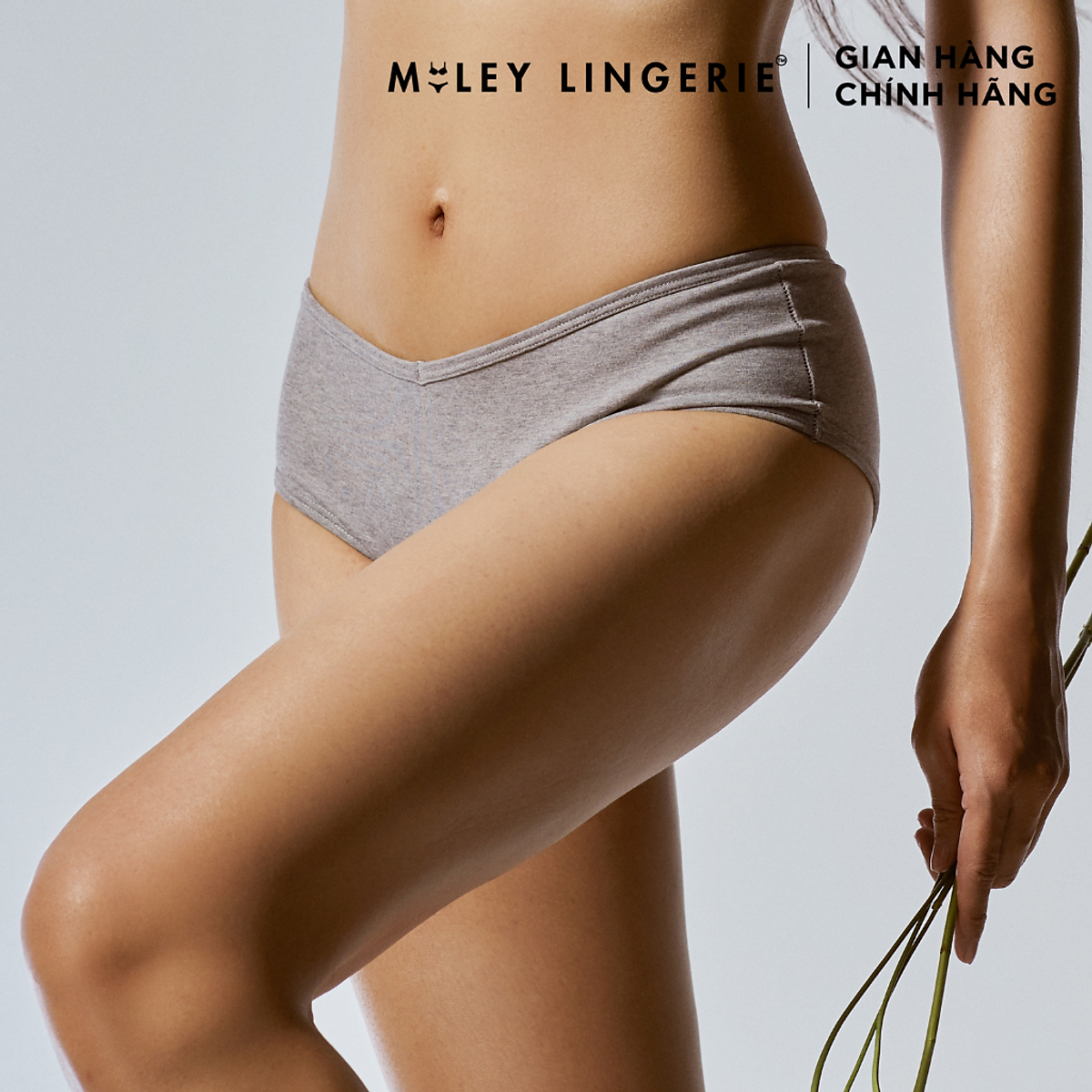 Combo 5 Quần Lót Nữ Cotton Thiên Nhiên Being Me Miley Lingerie- Màu Xám Nhạt