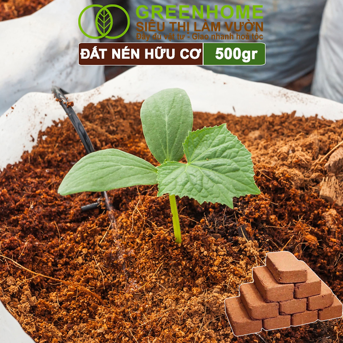 Đất Trồng Cây Greenhome, Viên Nén 500gr, Đã Qua Xử Lý, Bổ Sung Vi Sinh, Nở Gấp 5 Lần, Trồng Rau Hoa