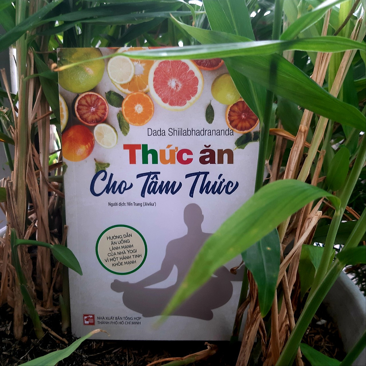 Thức ăn cho Tâm thức