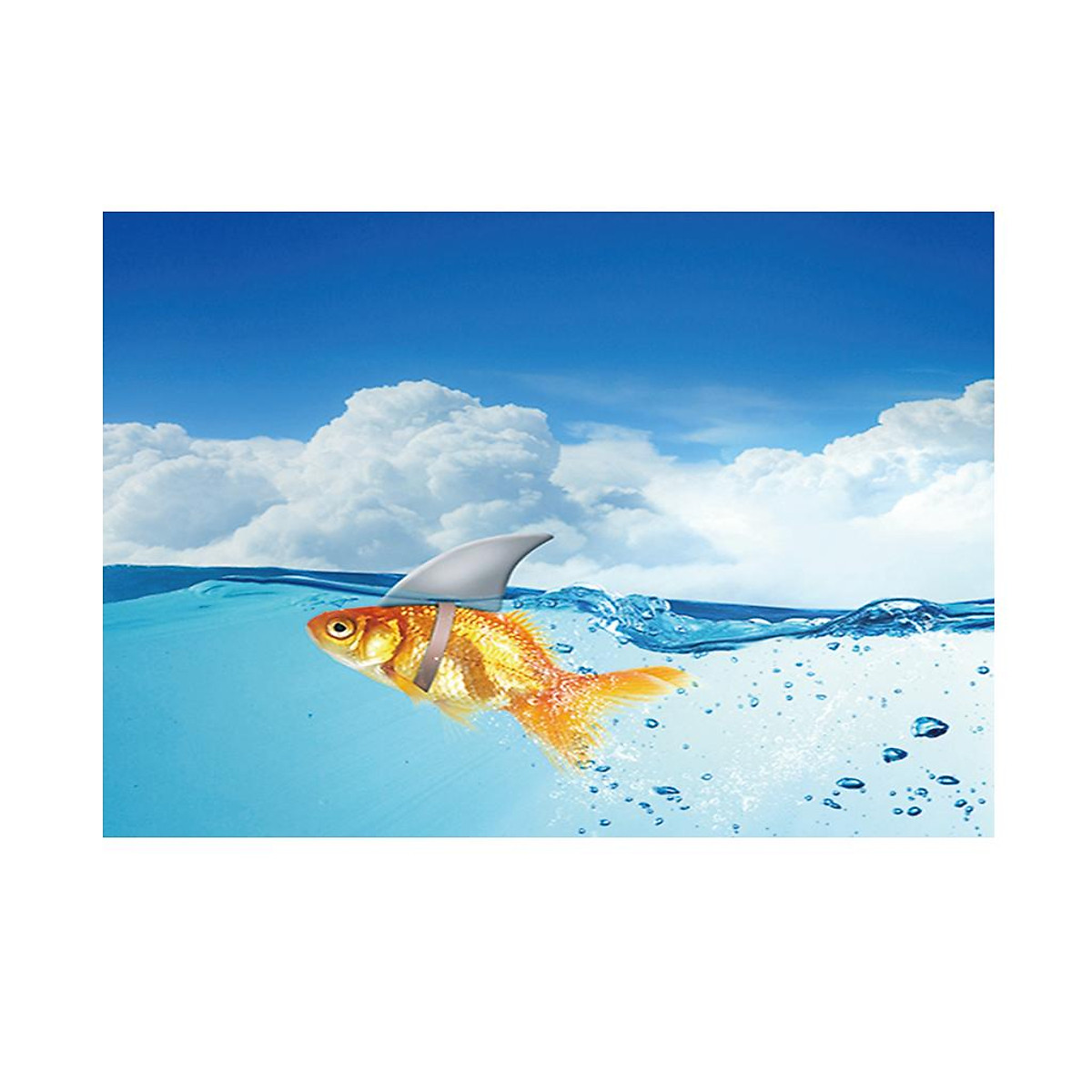Aquarium Fish Tank Adhesive Background Picture Wall Decoration XS ...