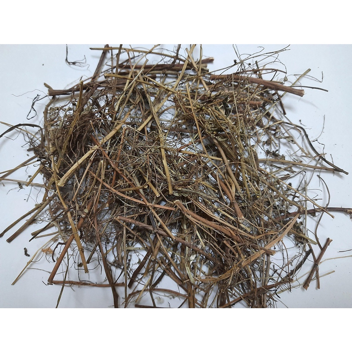 Cây chó đẻ phơi khô - Cây cảnh