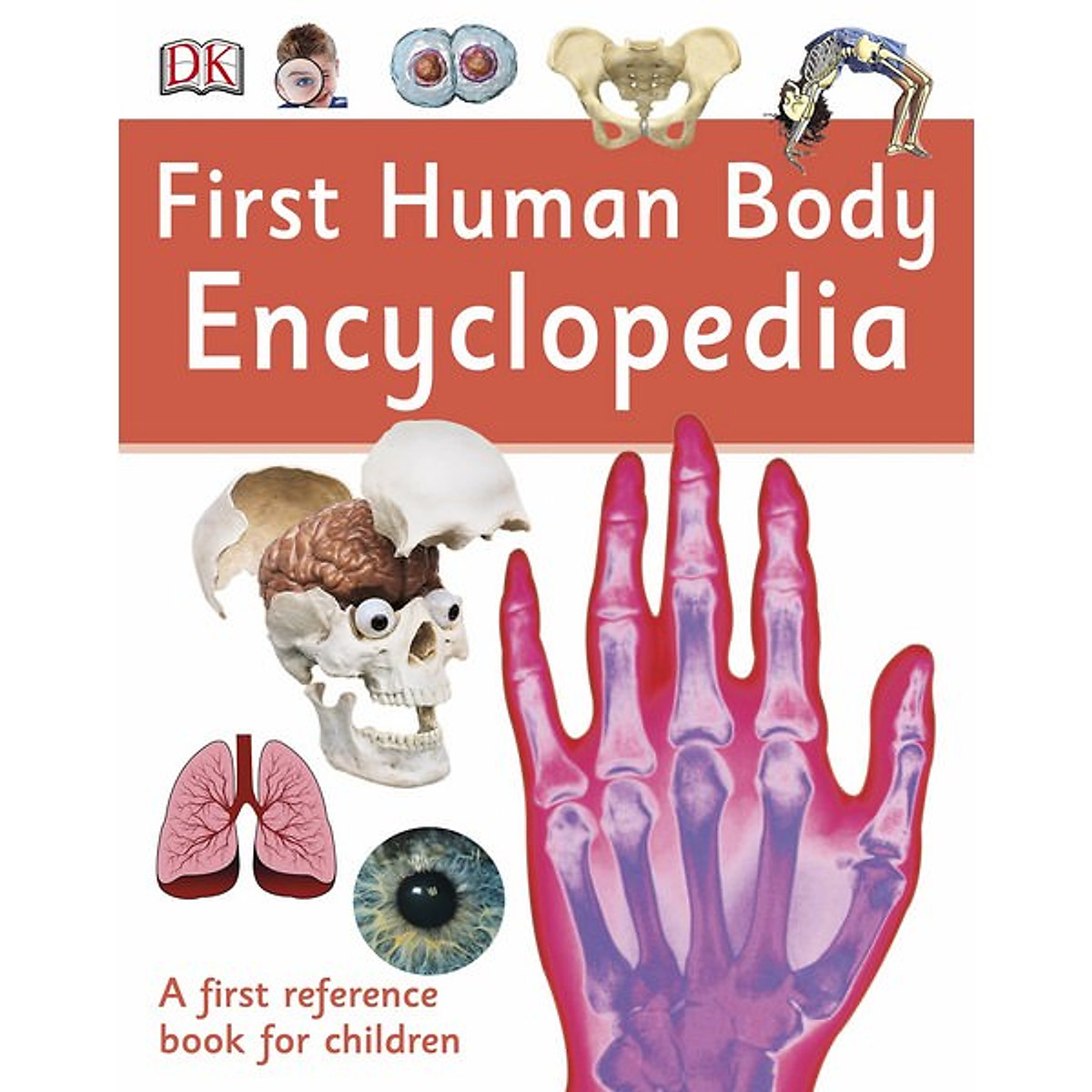 [Hàng thanh lý miễn đổi trả] First Human Body Encyclopedia