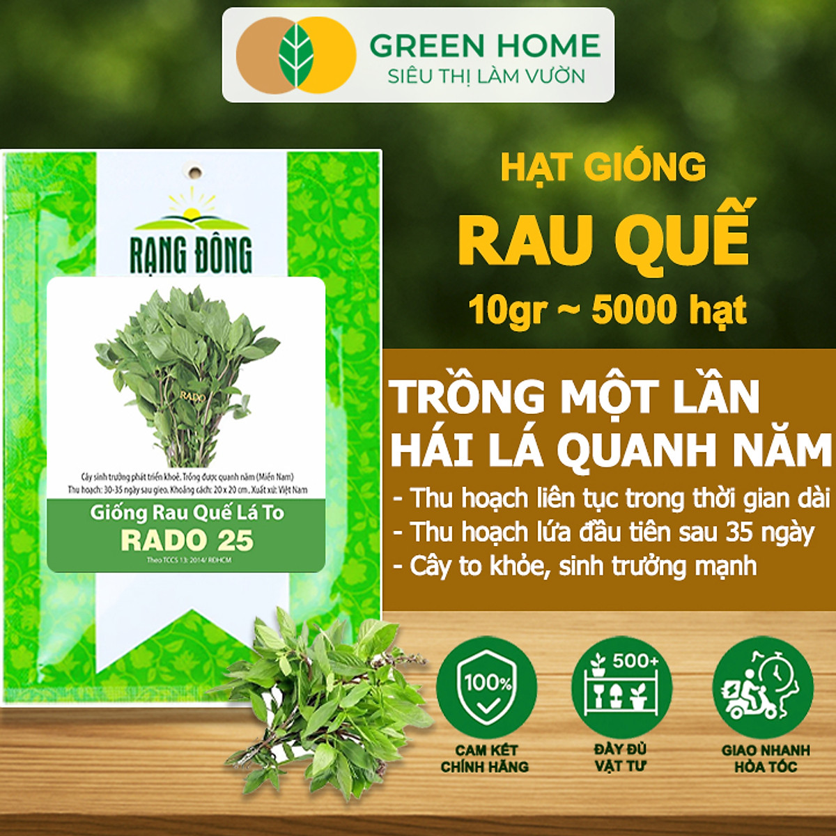 Hạt Giống Rau Quế Greenhome, Gói 10gr~5000 hạt, Húng Quế, Dễ Trồng Quanh Năm, Nảy Mầm Cao, Thu Hoạch Nhanh, Năng Suất Cao G07