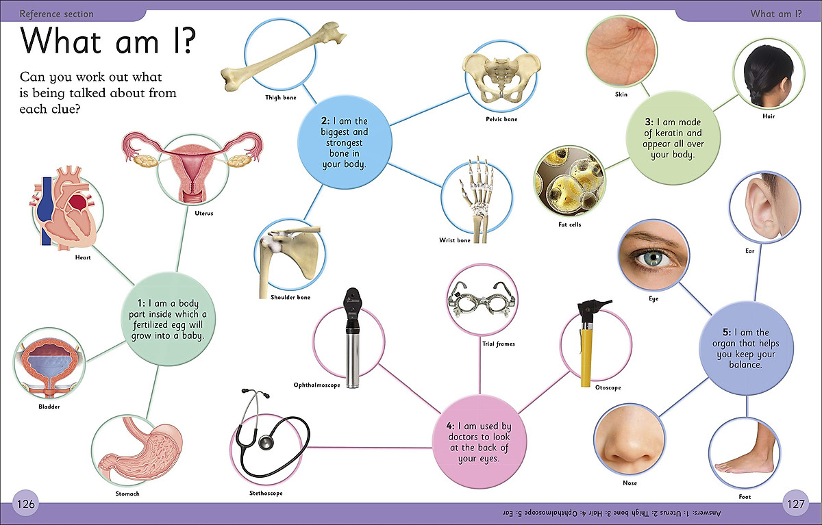 Sách First Human Body Encyclopedia