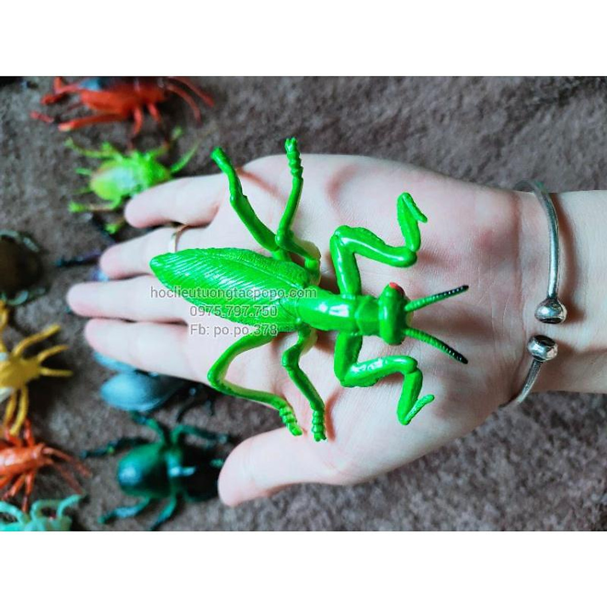 Đồ chơi mô hình chủ đề côn trùng hoặc bò sát  LinhAnhKidscom