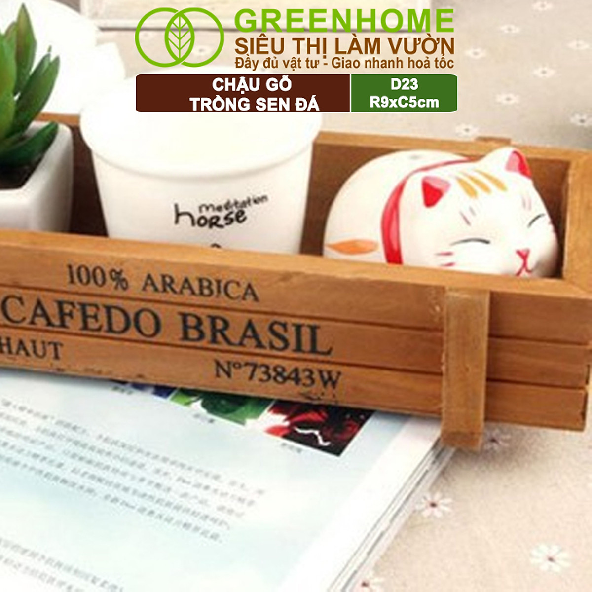 Chậu Gỗ Trồng Sen Đá Greenhome, Cafedo, D23xr9xc5cm, Trang Trí Cây Cảnh Để Bàn, Xương Rồng, Nhiều Màu Để Lựa Chọn