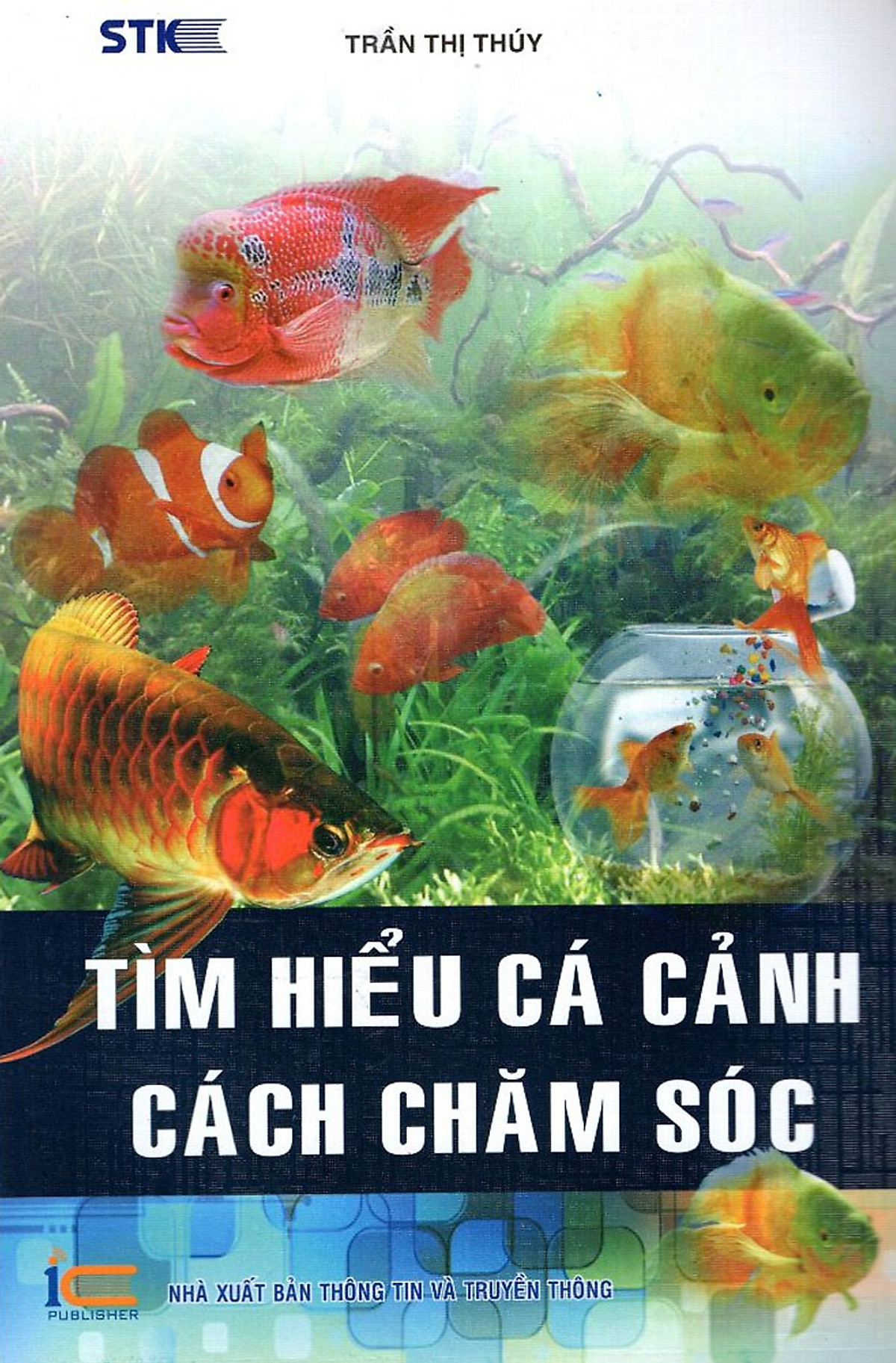 Tìm Hiểu Cá Cảnh - Cách Chăm Sóc_STK