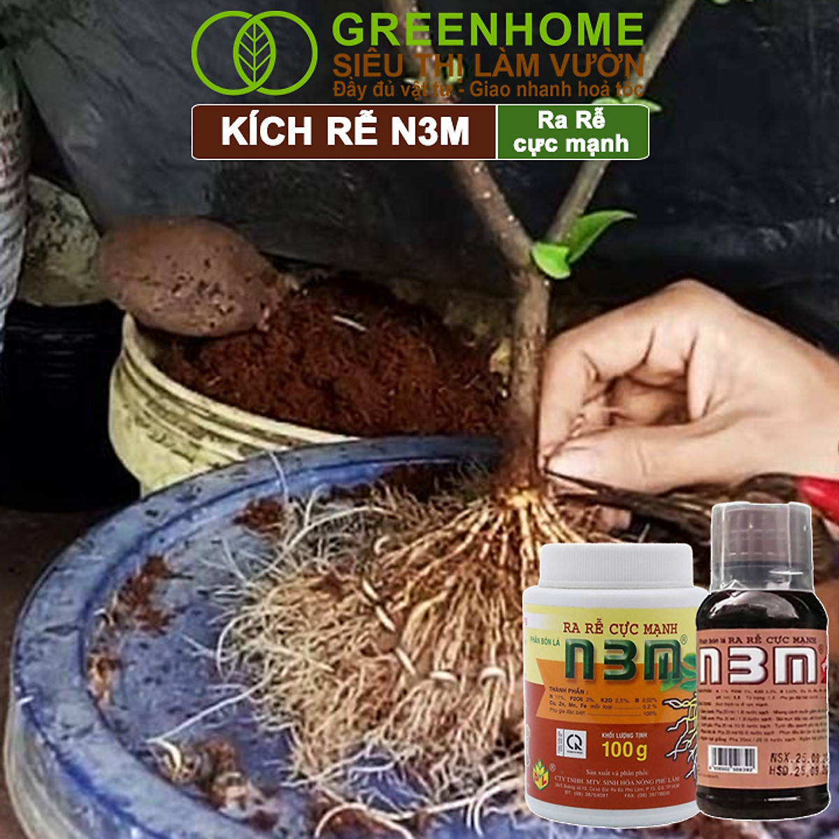 Phân Bón Lá Greenhome, N3M, Chai100ml, Ra Rễ Cực Mạnh Dùng Giâm, Chiết Cành, Ngâm Hạt Giống, Chuyên Kiểng, Hoa Hồng, Lan