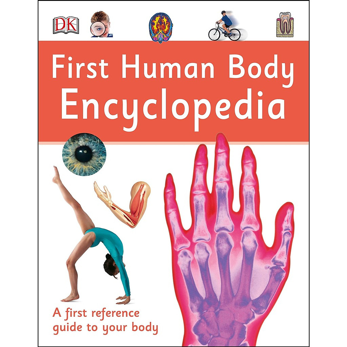 Sách Bản Quyền - First Human Body Encyclopedia ( Bách Khoa Toàn Thư Về Cơ Thể Con Người ) - Tổng Hợp Kiến Thức Bách Khoa Dành Cho Các Bé Từ 9+ Khám Phá Về Cơ Thể Người Với Bao Điều Kì Thú - Nhà Sách Giáo Dục Quốc Tế, Bìa Cứng, In Màu