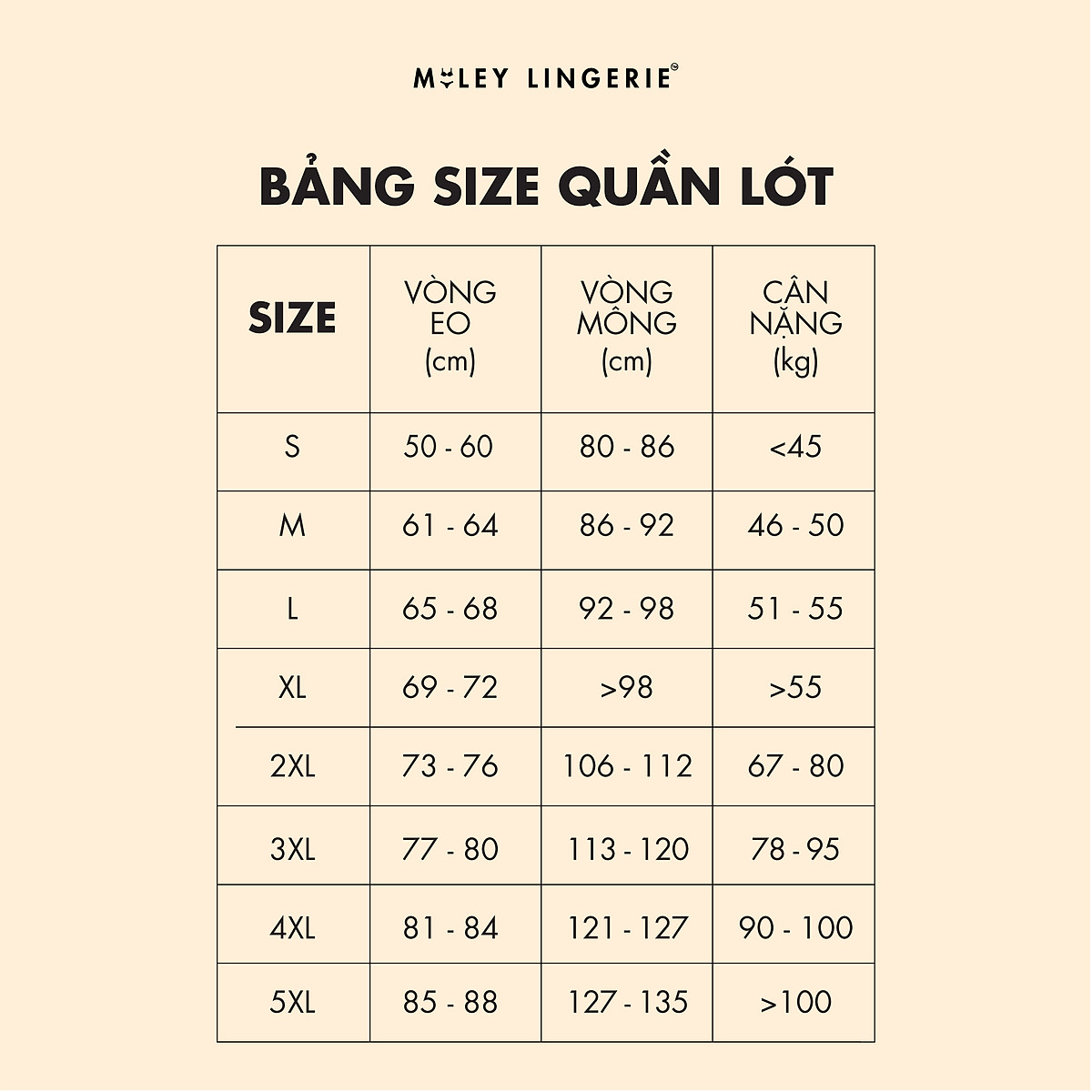 Combo 5 Quần Lót Nữ Modal Phối Ren Sexy Màu Nude và Hồng - FMM04