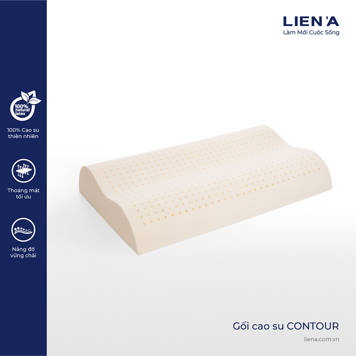 Gối Cao Su Liên Á Contour 2 kích thước