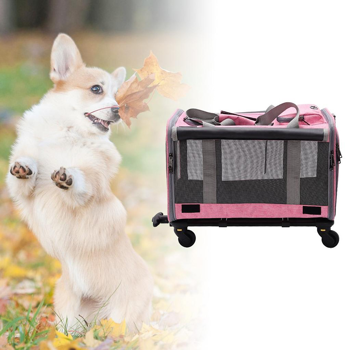 Collapsible Pet Carrier Bag Washable Tote Case Waterproof Dog Transport Collapsible Pet Carrier Bag Washable Tote Case Waterproof Dog Transport