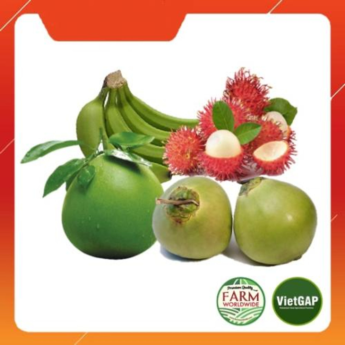 Chỉ giao HCM] Combo Trái Cây 3 (1kg Chôm Chôm + 2 quả Dừa + 1