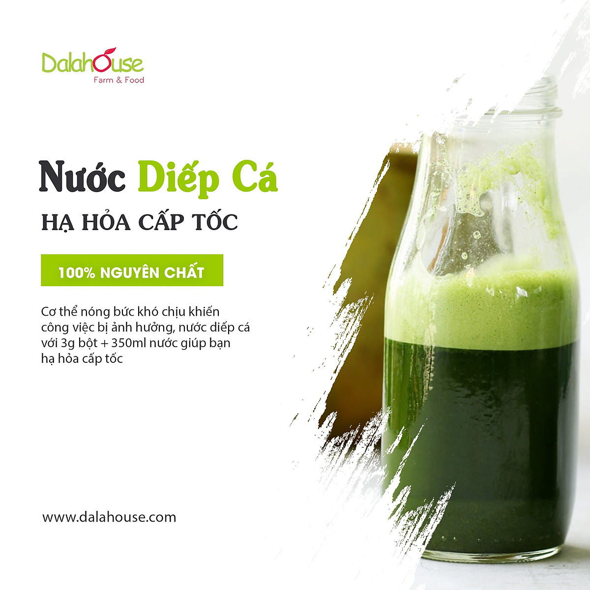 Bột Diếp Cá hữu cơ nguyên chất sấy lạnh Dalahouse - Hộp 20 gói nhỏ 3gr định lượng sẵn cho 1 lần sử dụng - Mát Gan, ngừa mụn, ngừa trĩ và táo bón. Hỗ trợ bảo vệ Phổi
