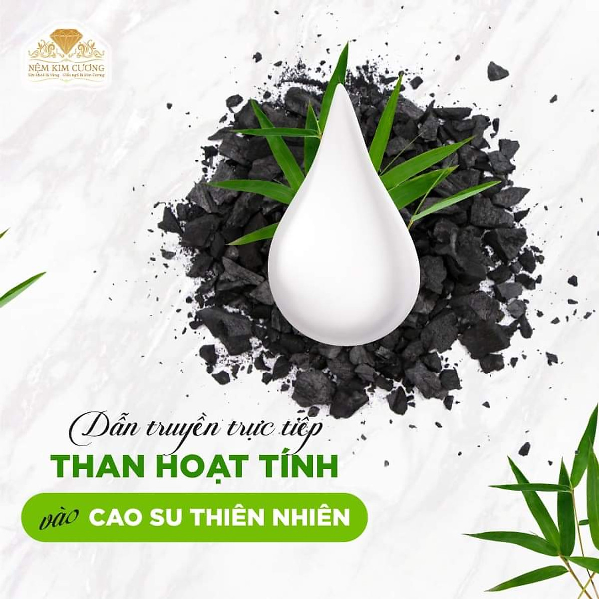 Nệm Cao Su Kim Cương 5Zone Than Hoạt Tính BIOLUX