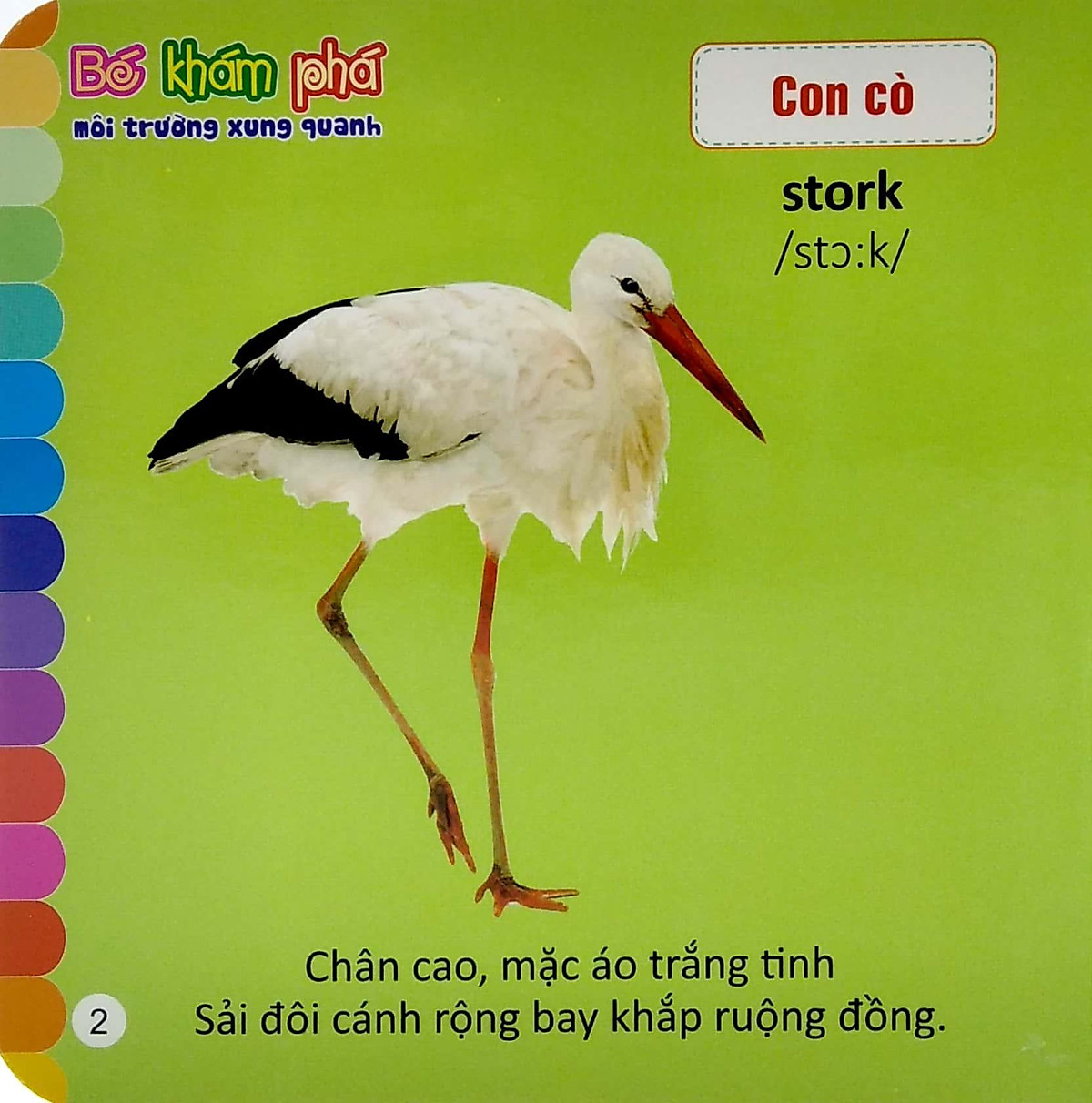 Bé Khám Phá Môi Trường Xung Quanh: Các Loài Chim - Birds (Song Ngữ Việt - Anh)