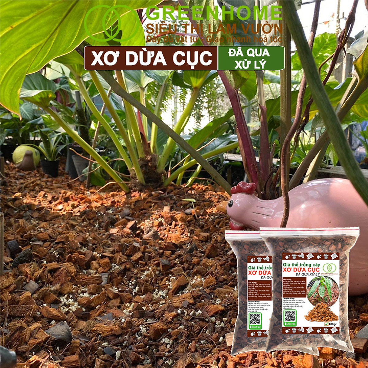 Xơ Dừa Cục Greenhome, Bao 400gr, Giá Thể Đã Qua Xử Lý, Size 1-2cm, Viên Đều Đẹp, Sạch Khuẩn, Trồng Kiểng Lá, Lan
