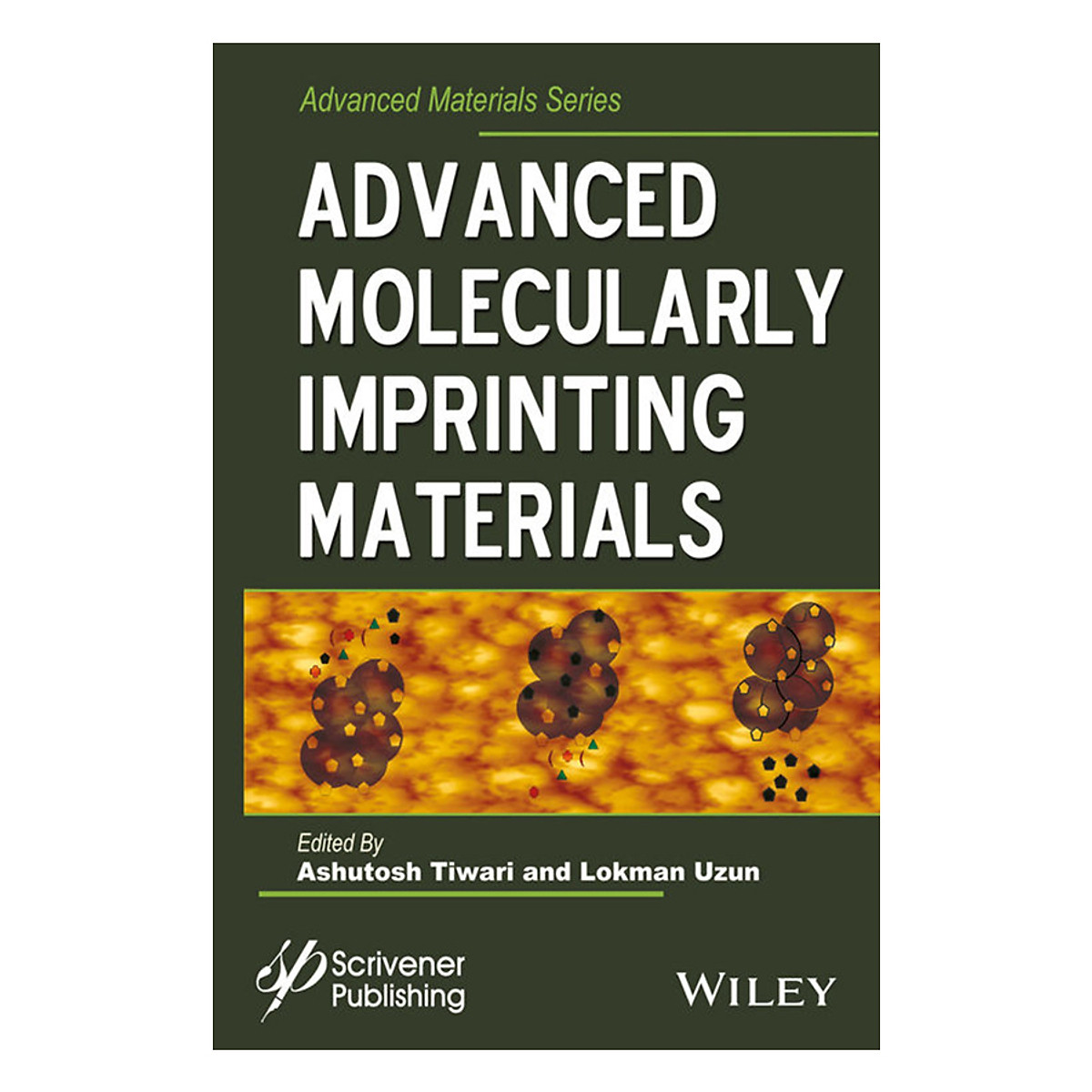 Advanced Molecularly Imprinting Materials