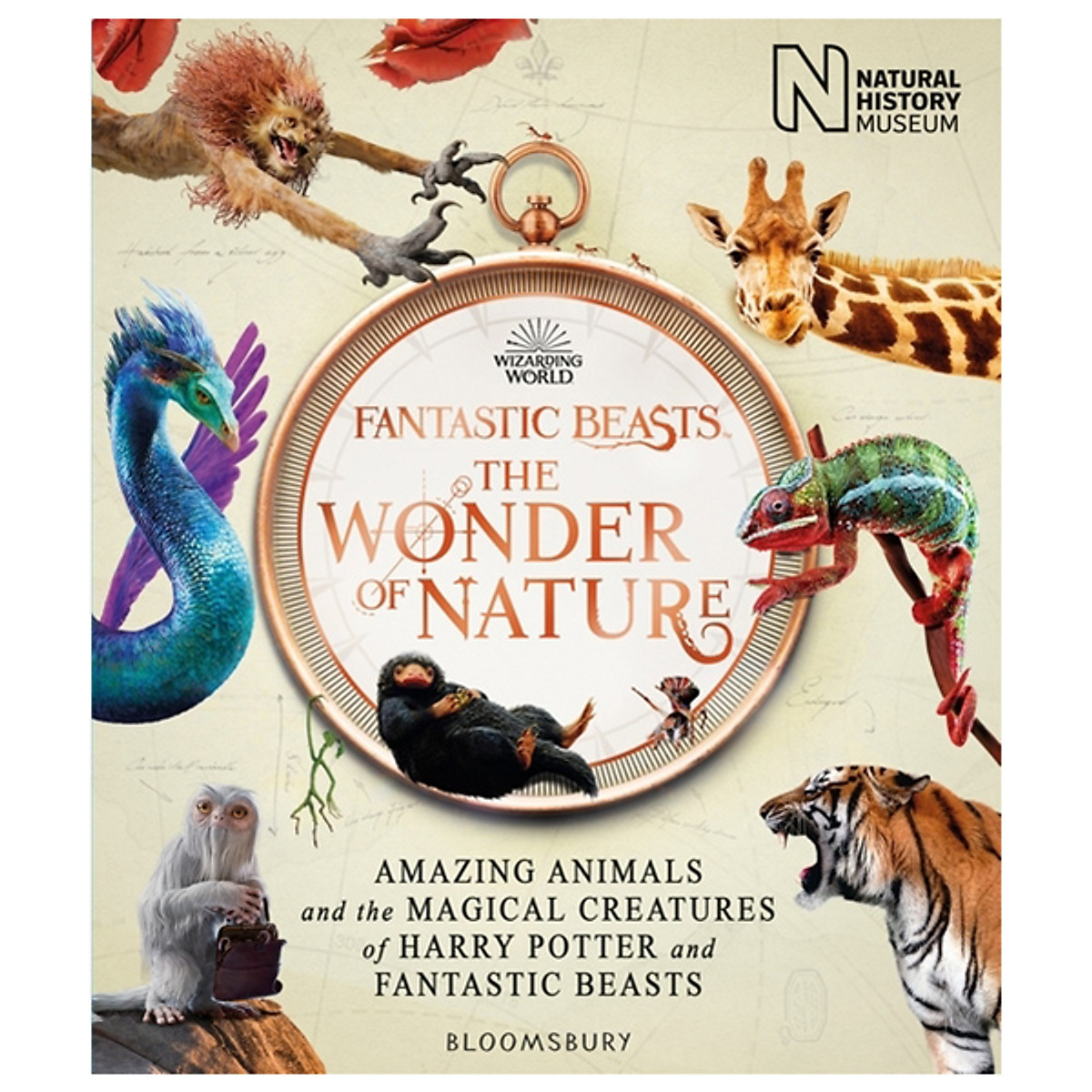 Fantastic Beasts: The Wonder of Nature (Amazing Animals and the Magical  Creatures of Harry Potter and