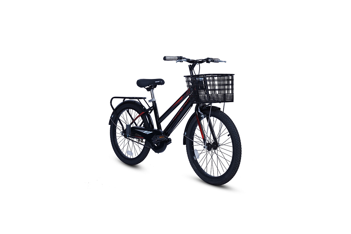 Xe đạp Thống Nhất GN 06-20 (Dành cho trẻ từ 5 - 10 tuổi)