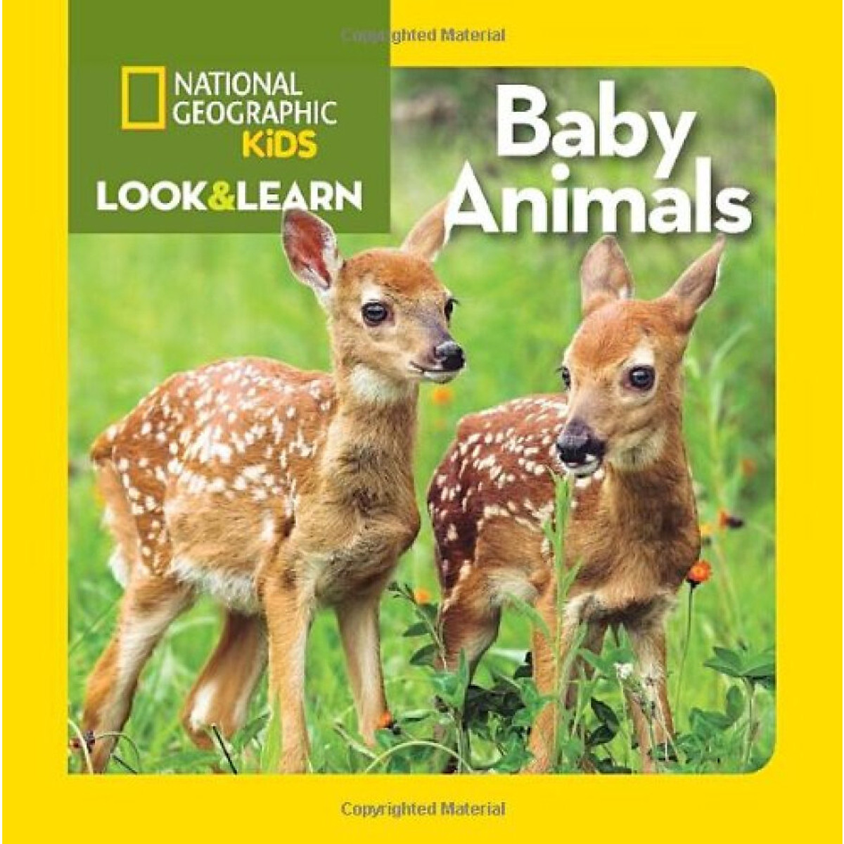 Mua National Geographic Kids Look and Learn: Baby Animals Mua National Geographic Kids Look and Learn: Baby Animals
