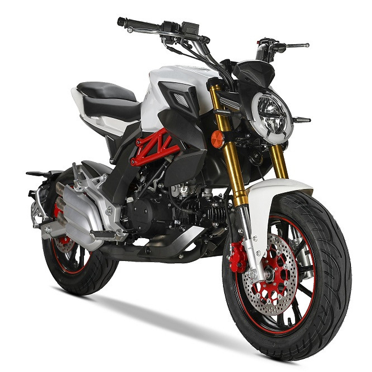 Xe máy Mv Agusta Mini 110cc màu xám chính hãng giá tốt nhất thị trường  Việt Nam chỉ có tại Xe Bảo Nam