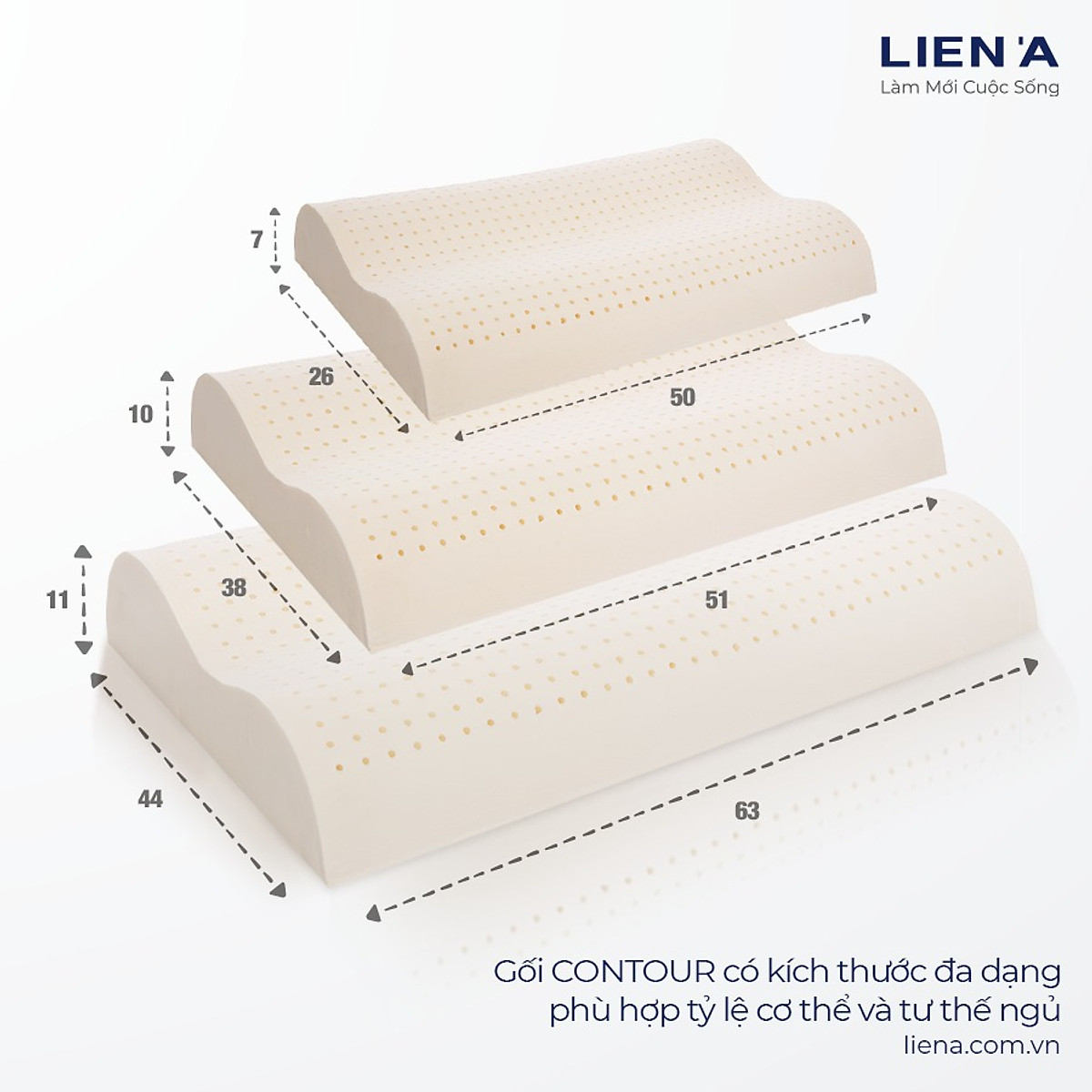 Gối Cao Su Liên Á Contour 2 kích thước