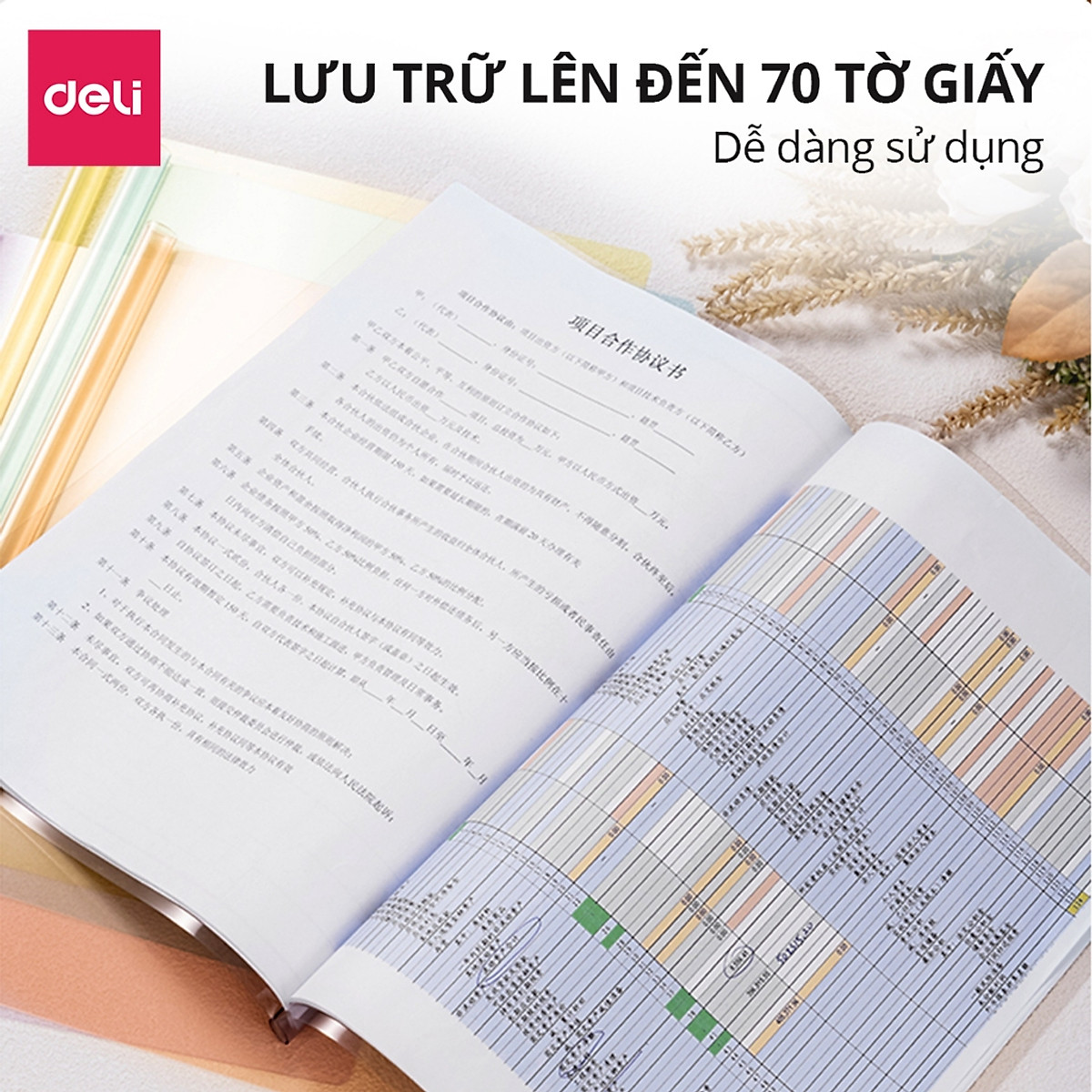 File Đựng Tài Liệu Gáy Rút Deli Bìa Trong Kẹp Tài Liệu Giấy Tờ Hồ Sơ Tiện Lợi Cho Học Sinh Văn Phòng Phẩm Màu Pastel