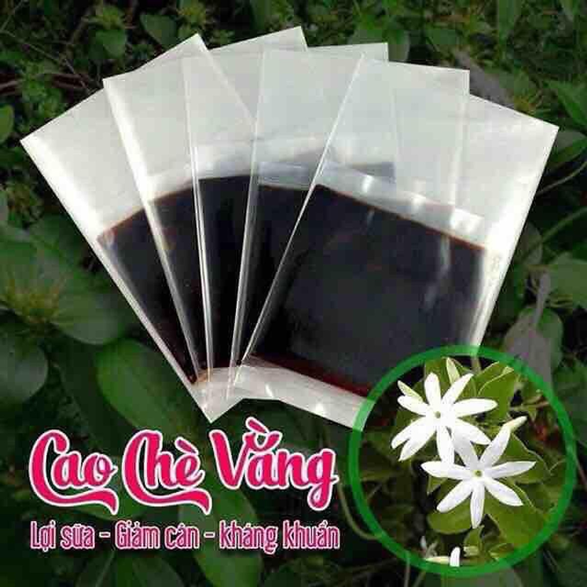 Cao chè vằng lợi sữa thương hiệu Tuệ Minh, hộp 500 gram 20 miếng