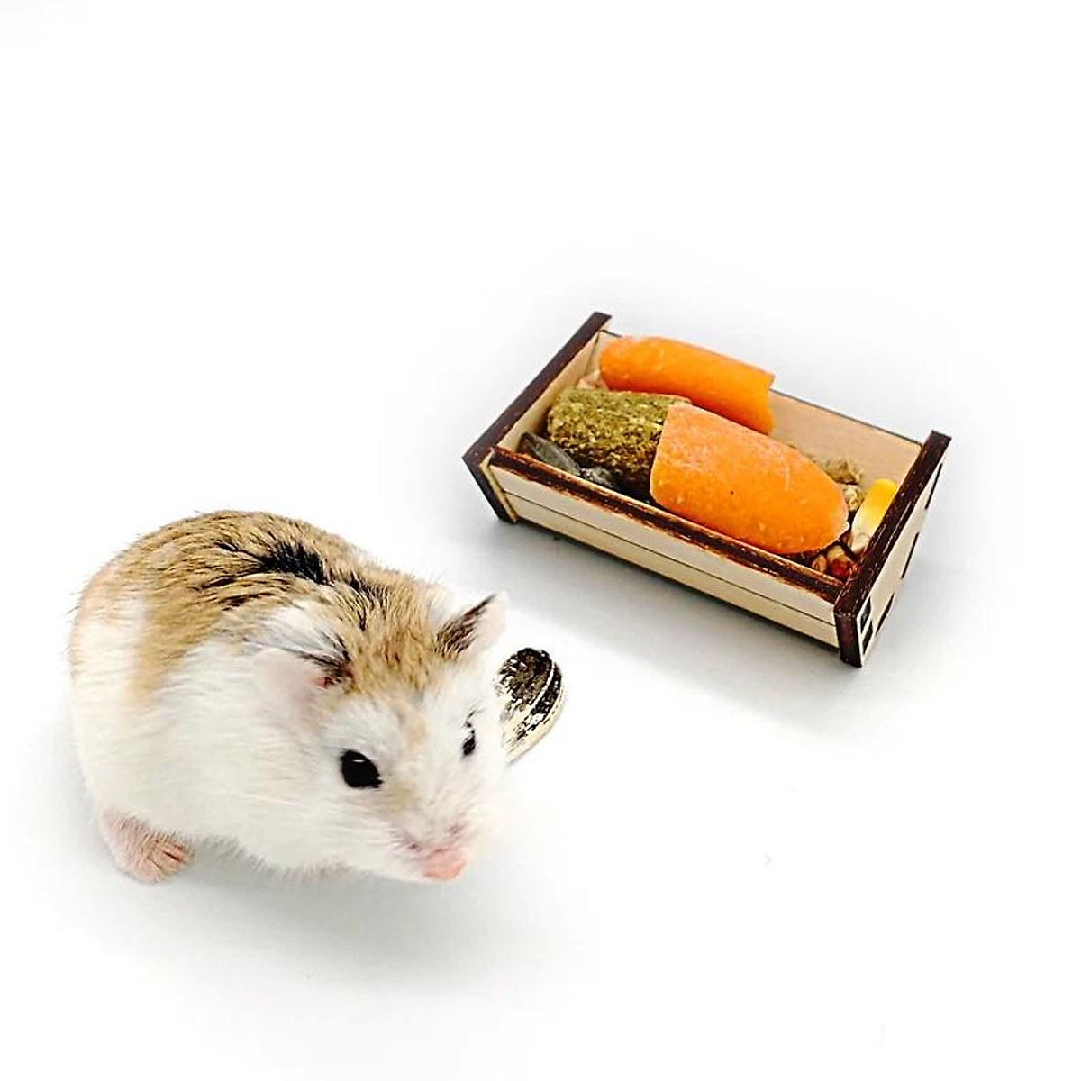 Máng Ăn Bằng Gỗ #23 Cho Chuột Hamster - Bát Ăn Cho Chuột Hamster