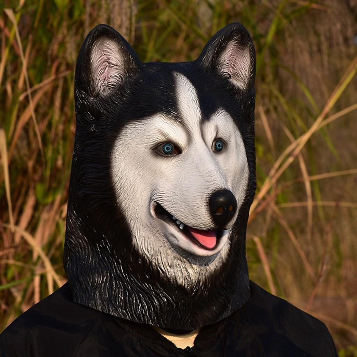 Tổng Hợp 50 Hình Ảnh Chó Husky Ngáo Đẹp Đáng Yêu Nhất