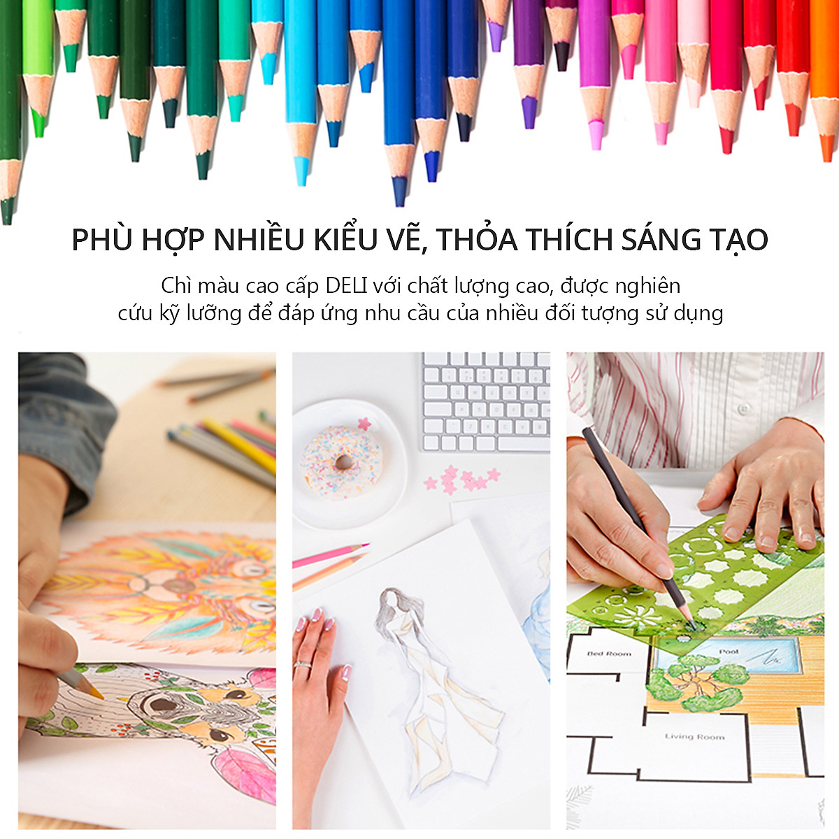 Bút chì màu gốc dầu cao cấp Deli - 6565 / 6566 / 6567