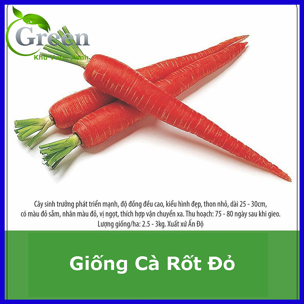 Hạt Giống Cà Rốt Đỏ Ấn Độ - Hạt giống