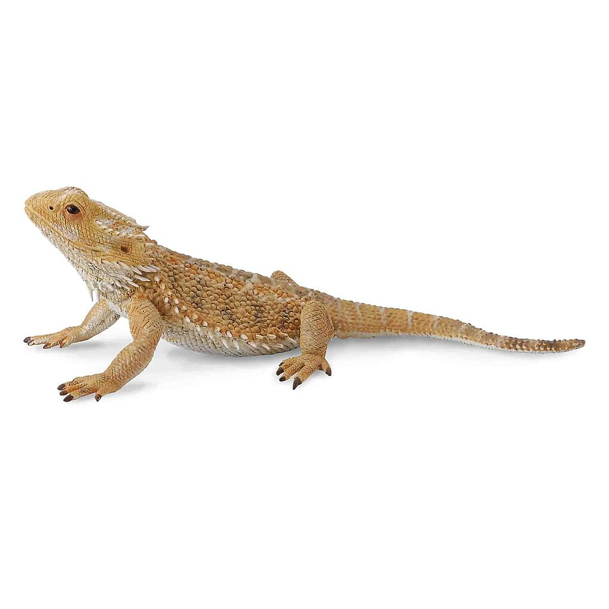 Mua Mô hình thu nhỏ: Thằn Lằn Rồng Úc - Bearded Dragon Lizard ...