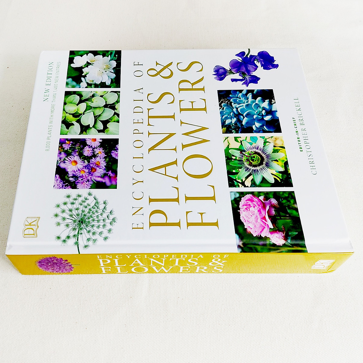 Sách ngoại văn - Encyclopedia of Plants and Flowers