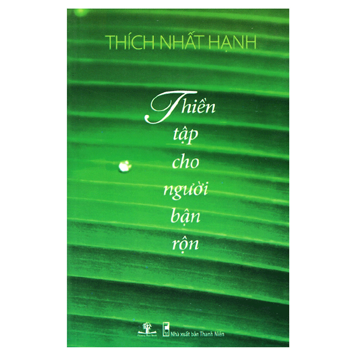 Thiền Tập Cho Người Bận Rộn