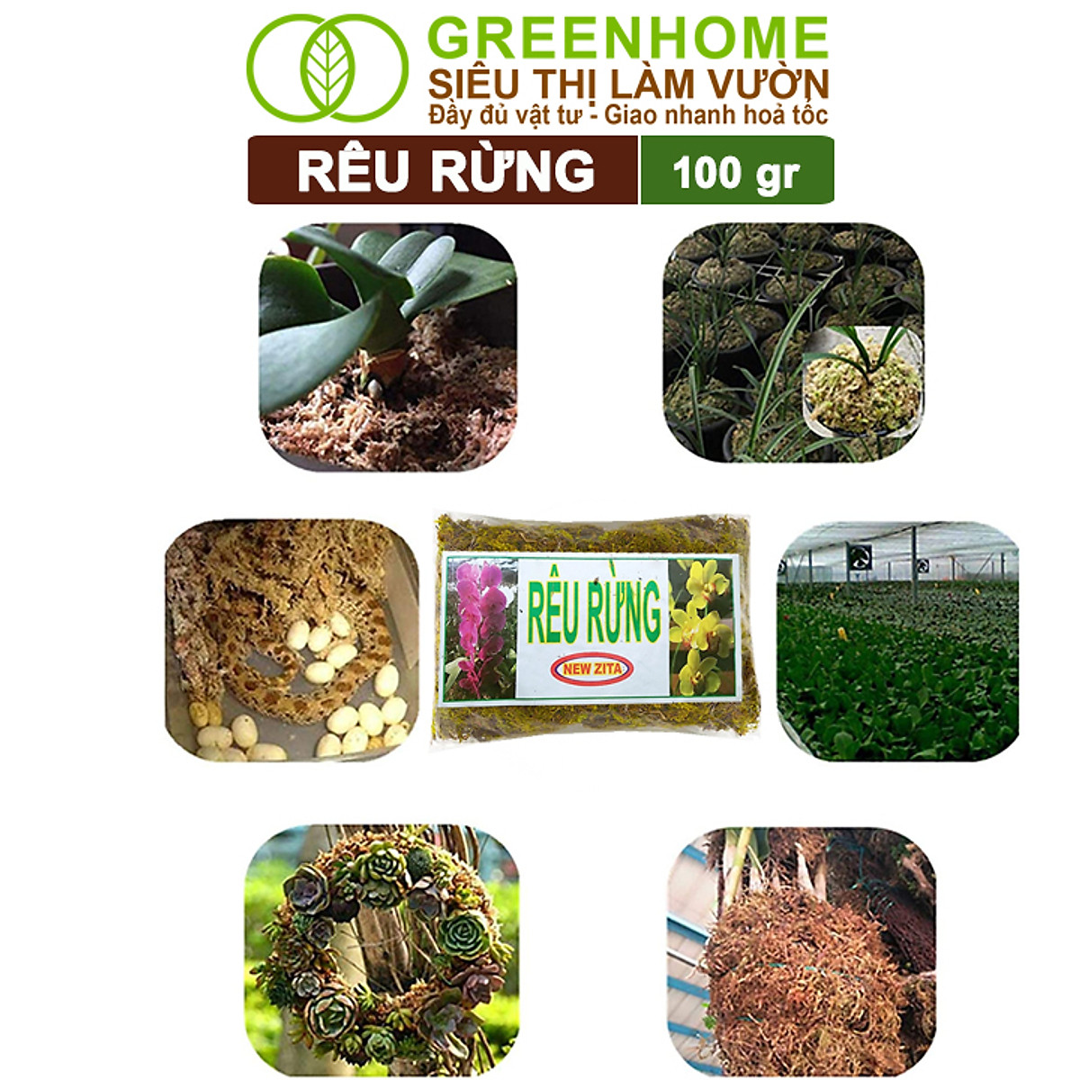 Rêu rừng Greenhome, Newzita, Gói 100gr, Đã Qua Xử Lý, Giá Thể, Giữ Ẩm Tốt, Kháng Khuẩn Tự Nhiên, Trồng Lan, Kiểng Lá