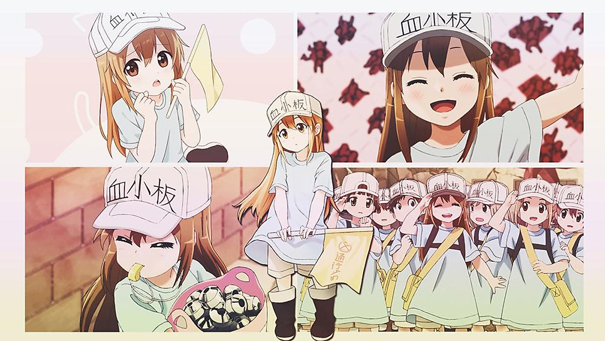Mua Poster A3 dán tường Anime, decal 30x42 trang trí có keo Cells at Work Wallpapers 1 - Mẫu 5 tại Tí Nị Shop Mua Poster A3 dán tường Anime, decal 30x42 trang trí có keo Cells at Work Wallpapers 1 - Mẫu 5 tại Tí Nị Shop