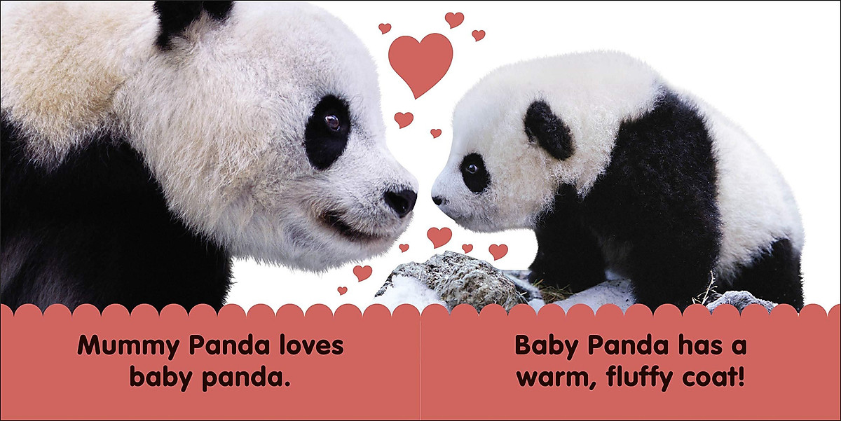 Baby Touch And Feel Panda