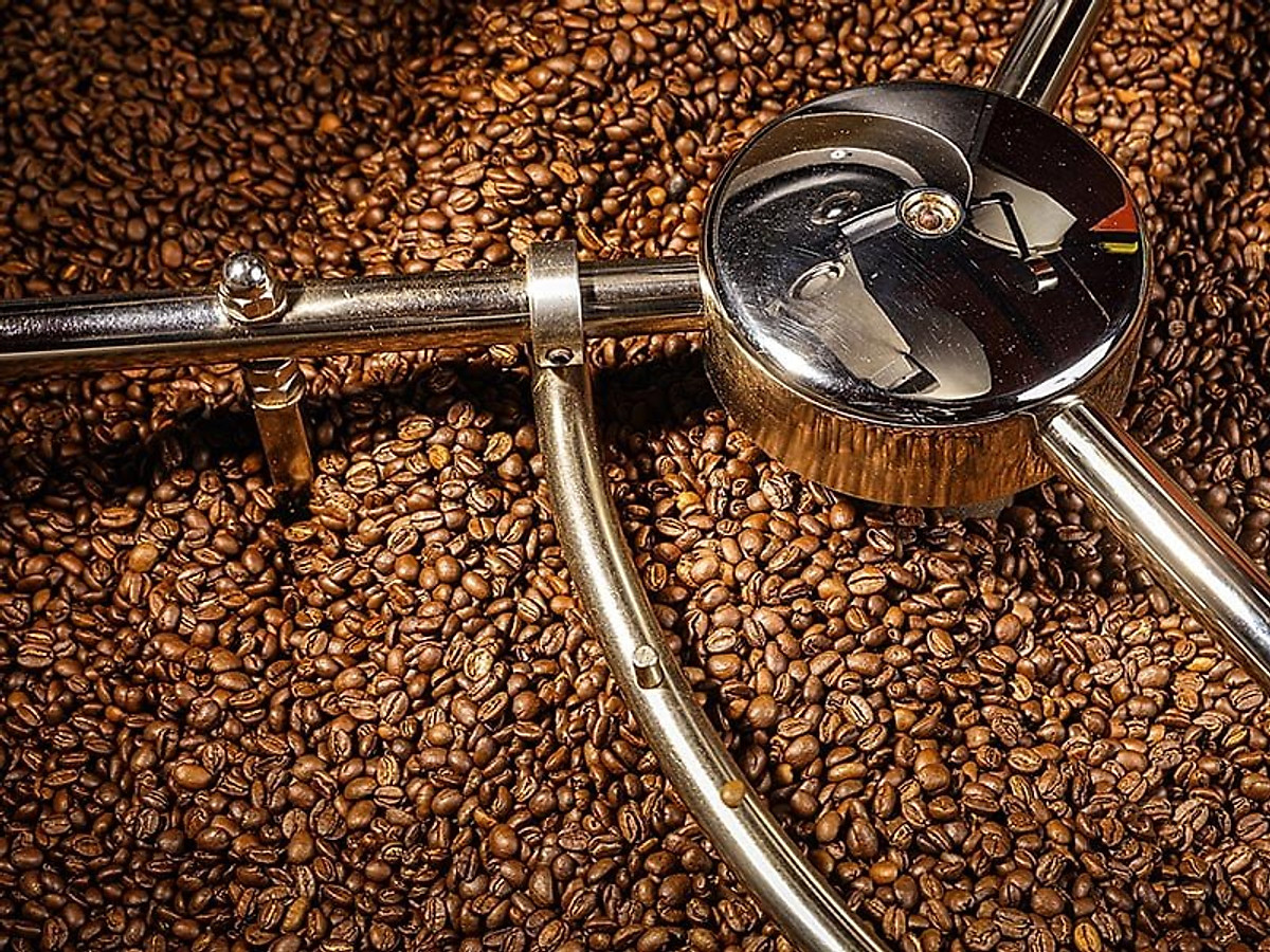 Cà phê Cuil Arabica Cầu Đất Rang Xay 500g - The Kaffeine