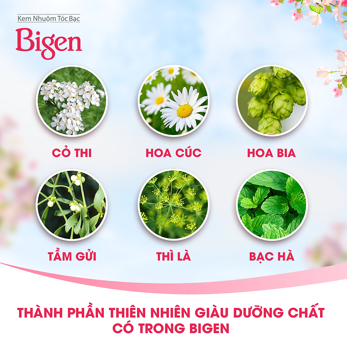 Thuốc nhuộm dưỡng tóc phủ bạc thảo dược Bigen Nhập Khẩu 100% Nhật Bản Speedy Color Cream 80ml dạng kem
