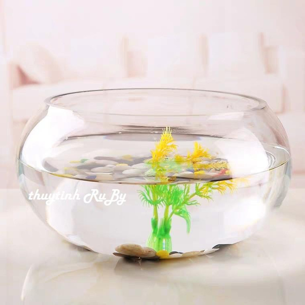 Bể Cá Thủy Tinh Mini, Hồ Cá Mini Để Bàn, Chậu Cây Thủy Sinh T02