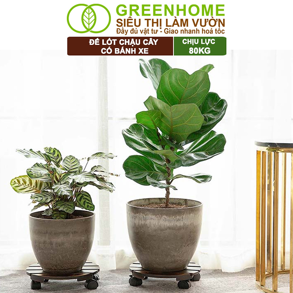 Đế Lót Chậu Cây Greenhome, R30xc8cm, Bằng Gỗ Có Bánh Xe, Thân Thiện Môi Trường, Tiện Lợi, Di Chuyển Chậu Nặng Dễ Dàng