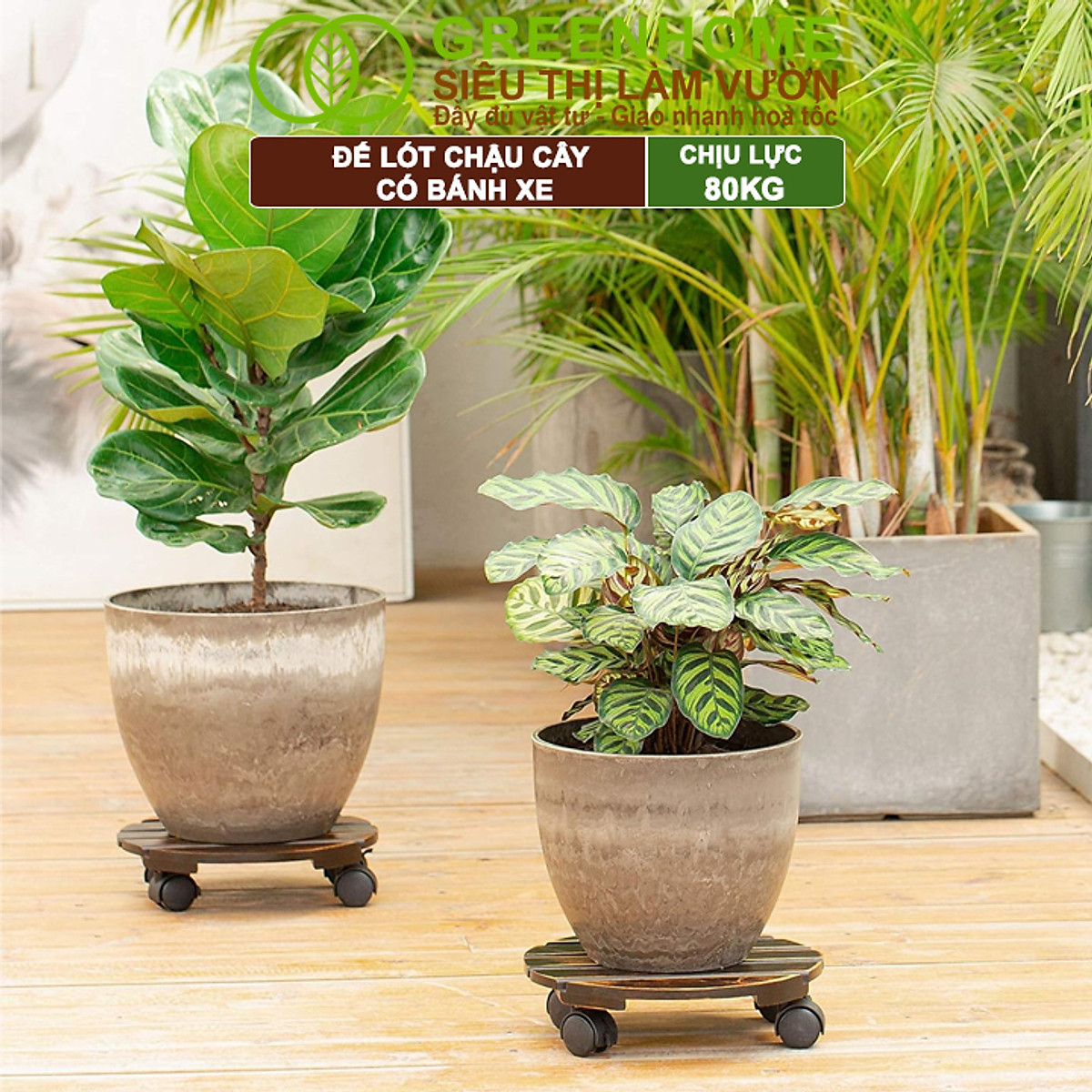 Đế Lót Chậu Cây Greenhome, R30xc8cm, Bằng Gỗ Có Bánh Xe, Thân Thiện Môi Trường, Tiện Lợi, Di Chuyển Chậu Nặng Dễ Dàng