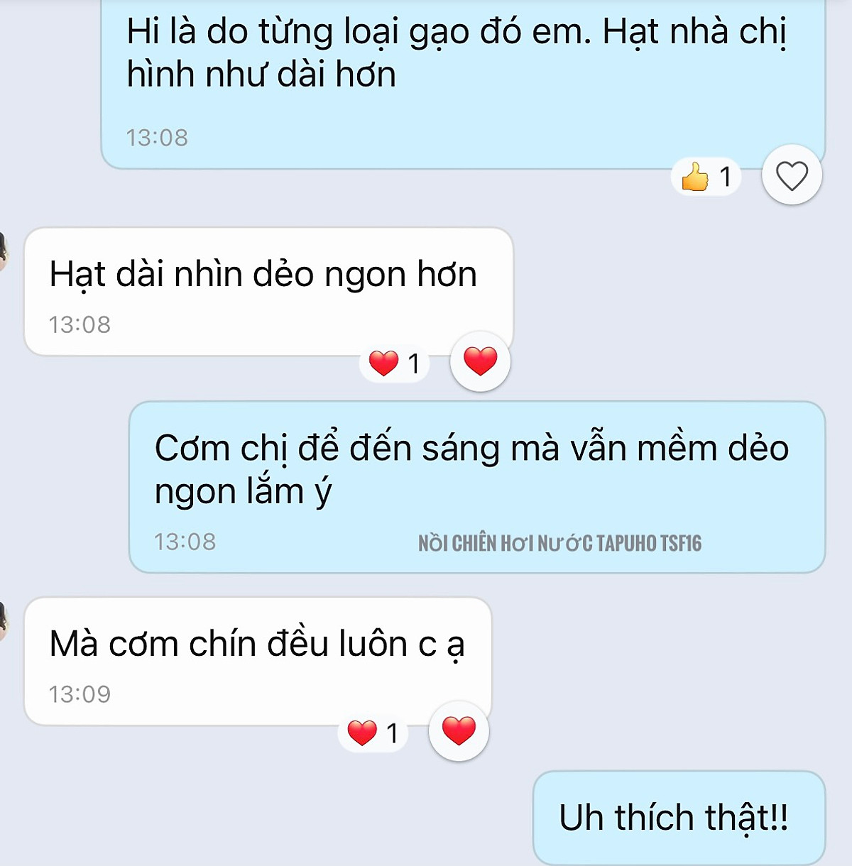 Nồi chiên hơi nước cao cấp TAPUHO TSF16 - Thương hiệu Đức - 2.800w - 16 lít - BH 2 năm